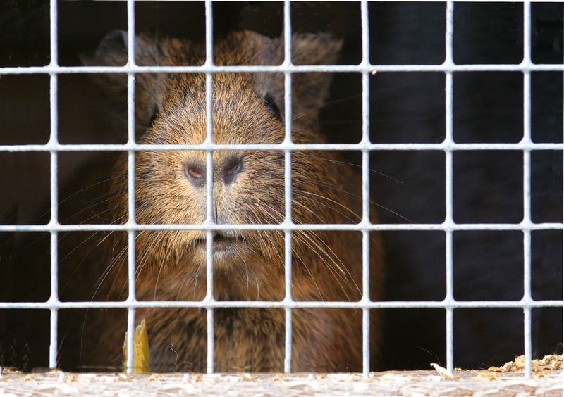 Hinter Gittern