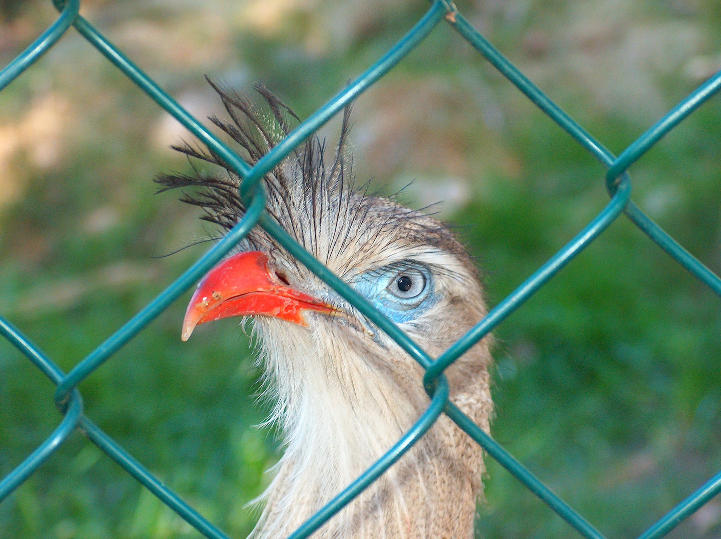 Hinter Gittern