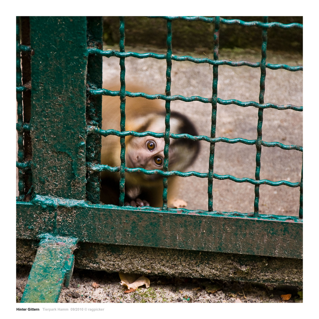 Hinter Gittern