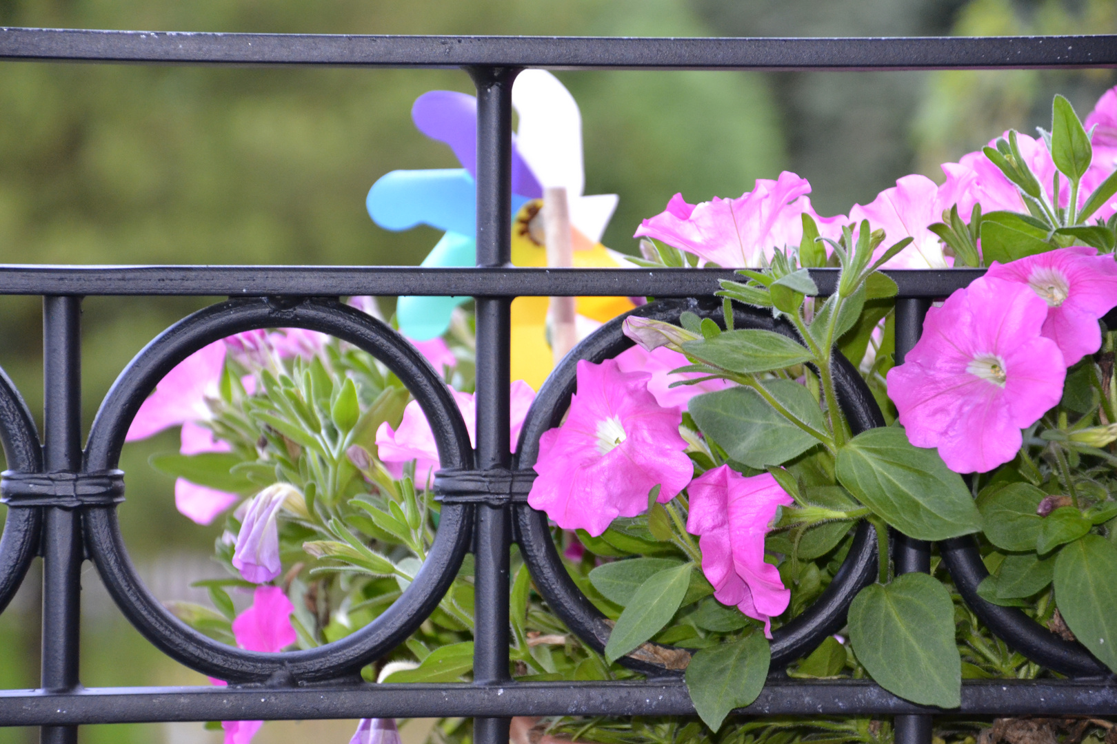 Hinter Gittern