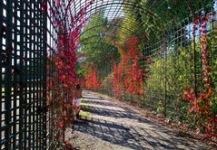 Hinter Gittern