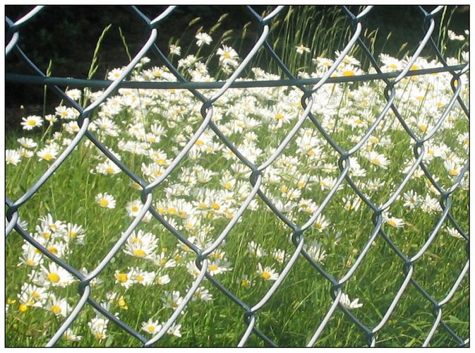 Hinter Gittern