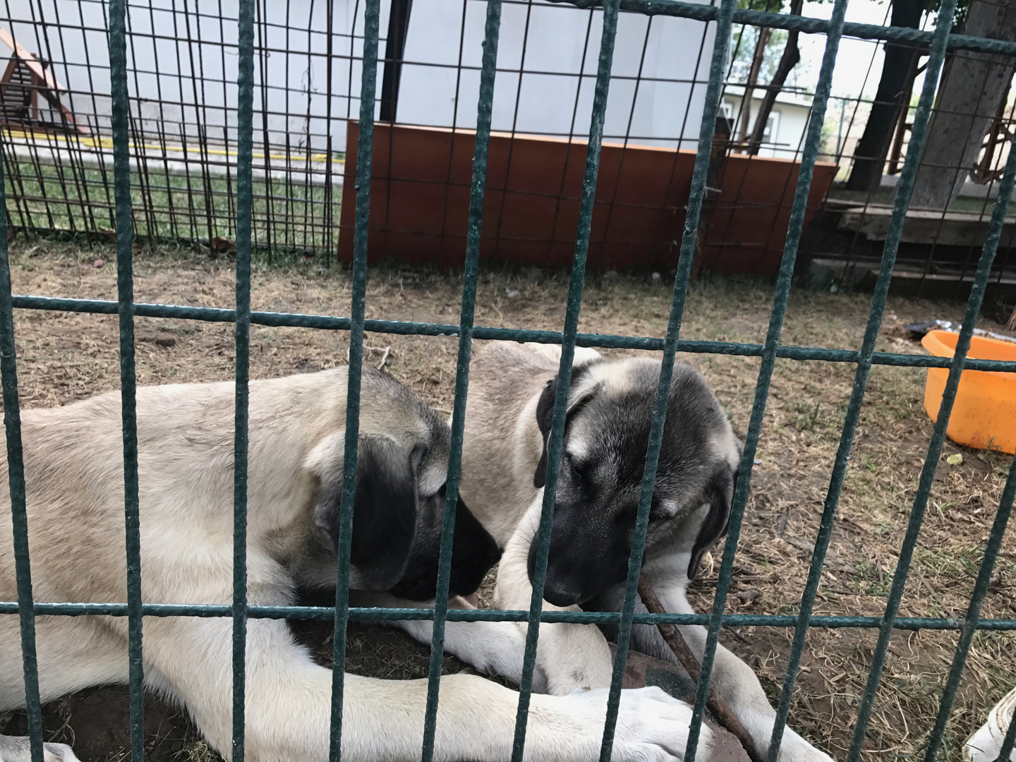 Hinter Gittern