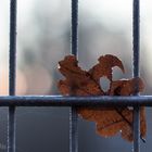 hinter Gittern