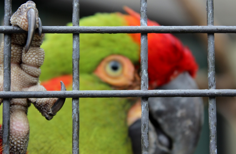 Hinter Gittern