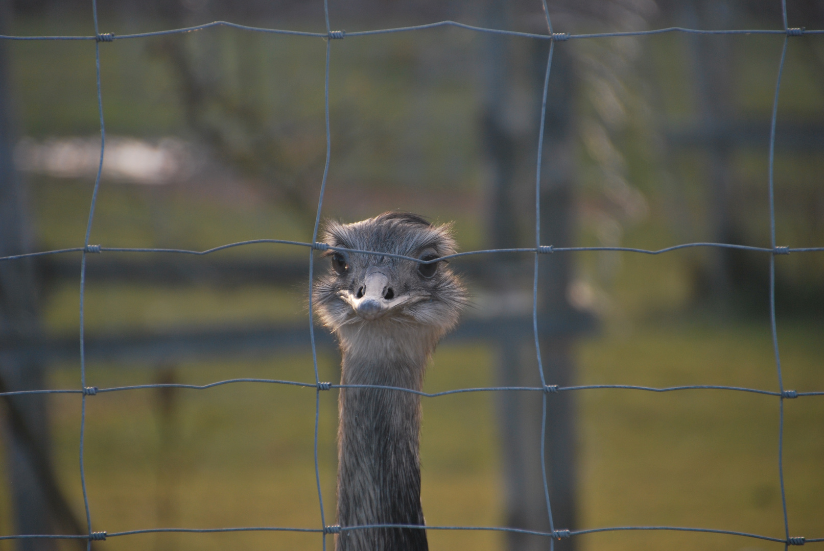 Hinter Gittern