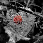 Hinter Gittern