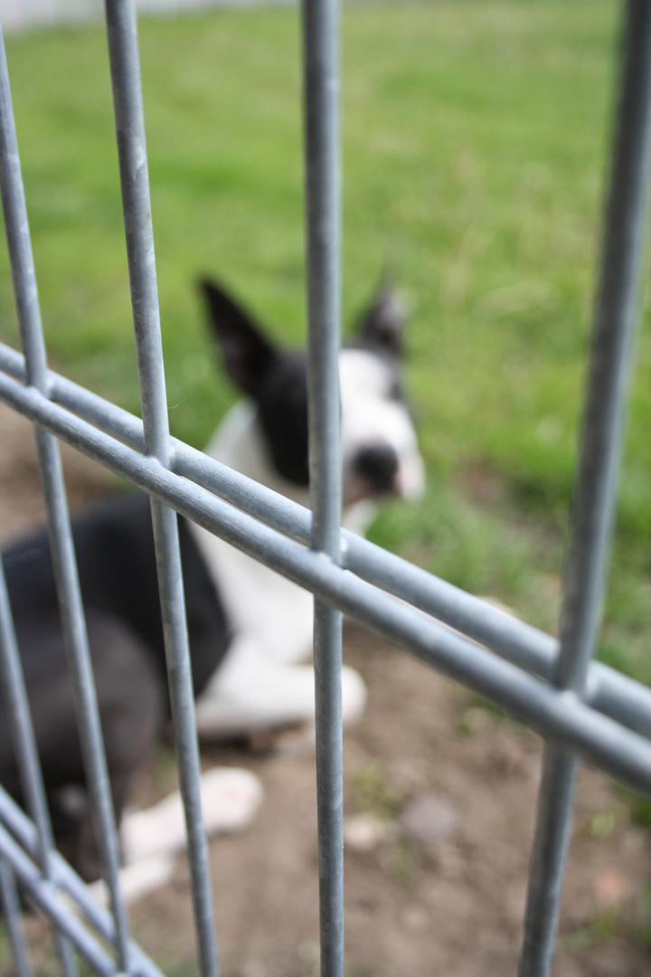 Hinter Gittern