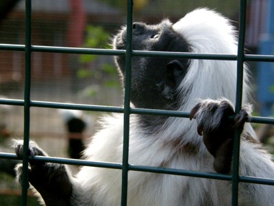 Hinter Gittern