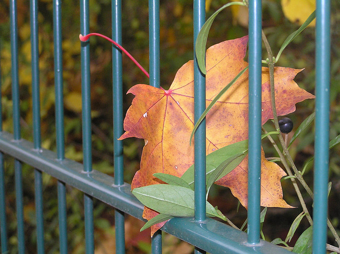 Hinter Gittern gelandet