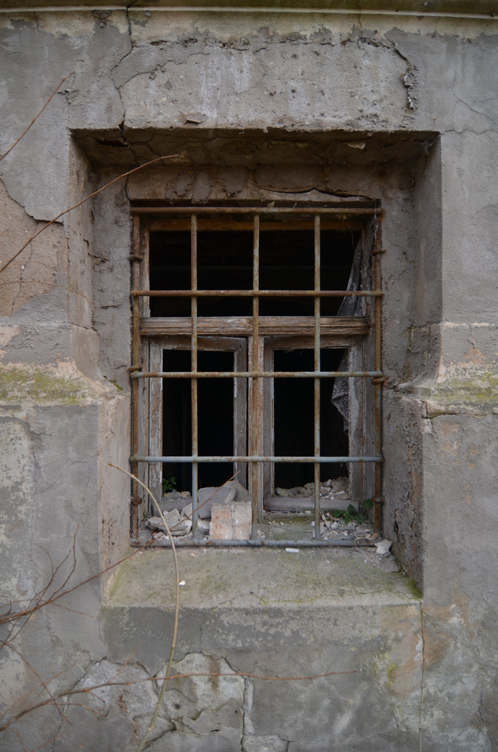 Hinter Gittern oder was ist im Keller