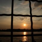 hinter Gittern - Sonnenuntergang Düsseldorf