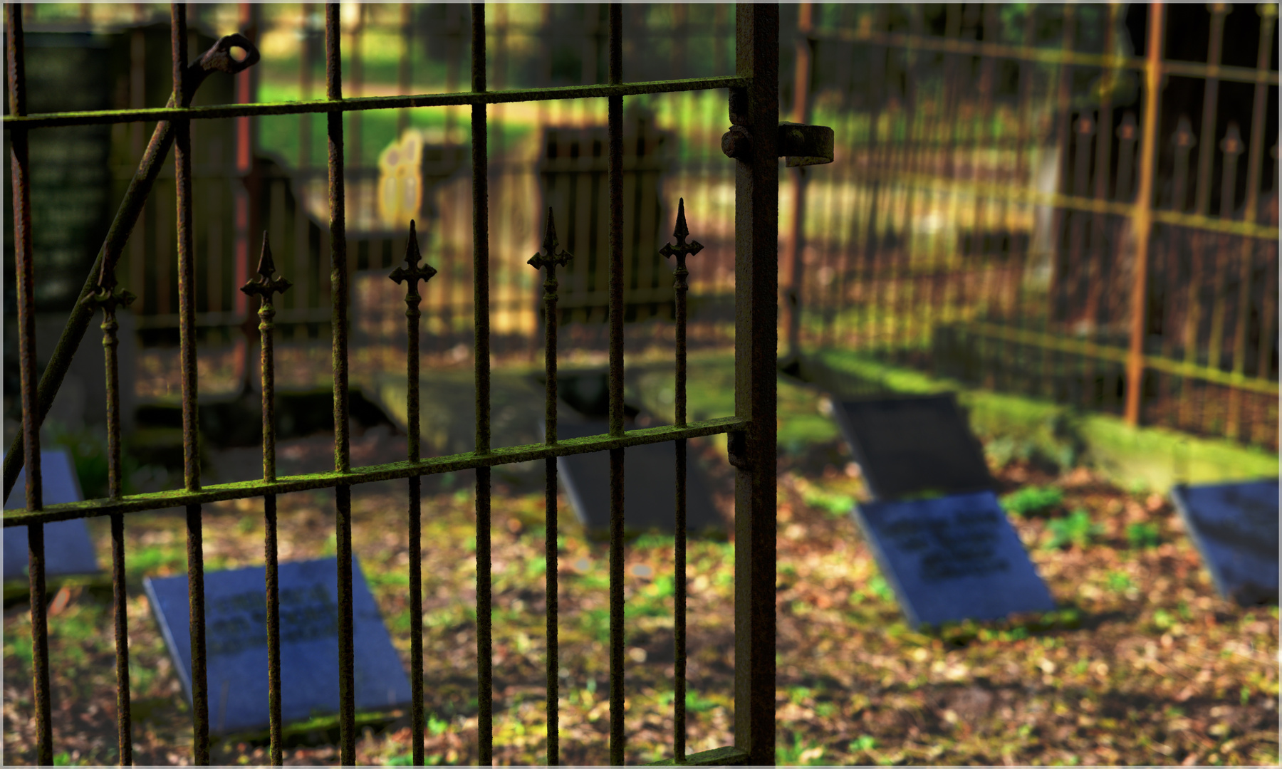 Hinter Gittern surreal