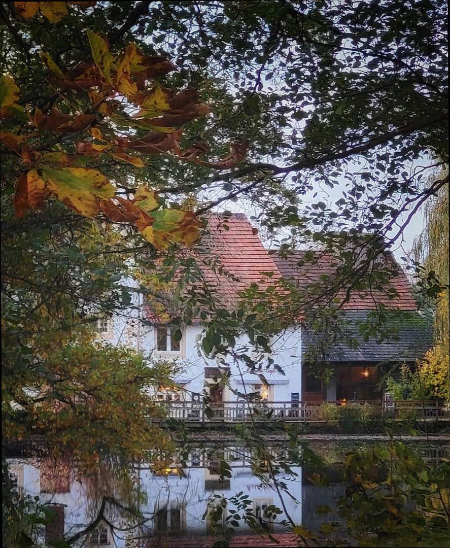 Hinter Herbstbäumen...