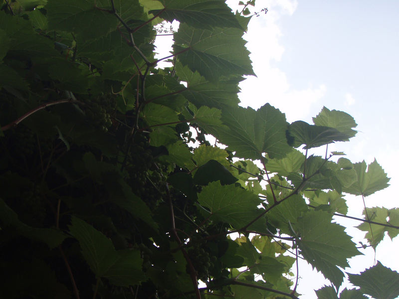 Hinter jeder dunkelen Wolke, scheint auch wieder die Sonne...