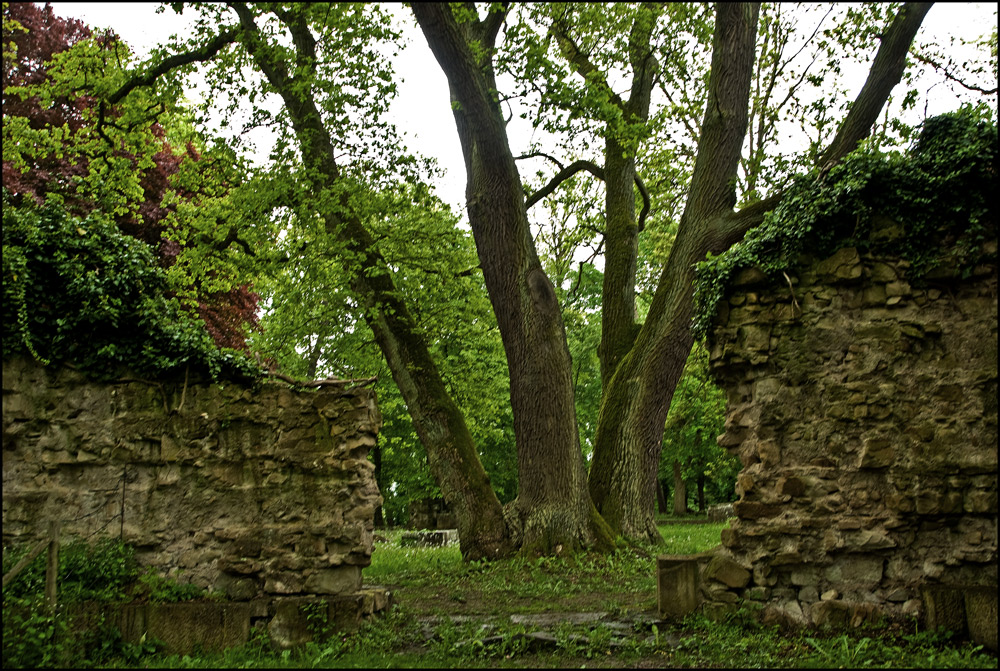 Hinter Klostermauern