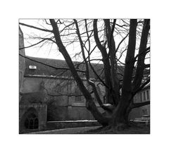 - Hinter Klostermauern XVIII -