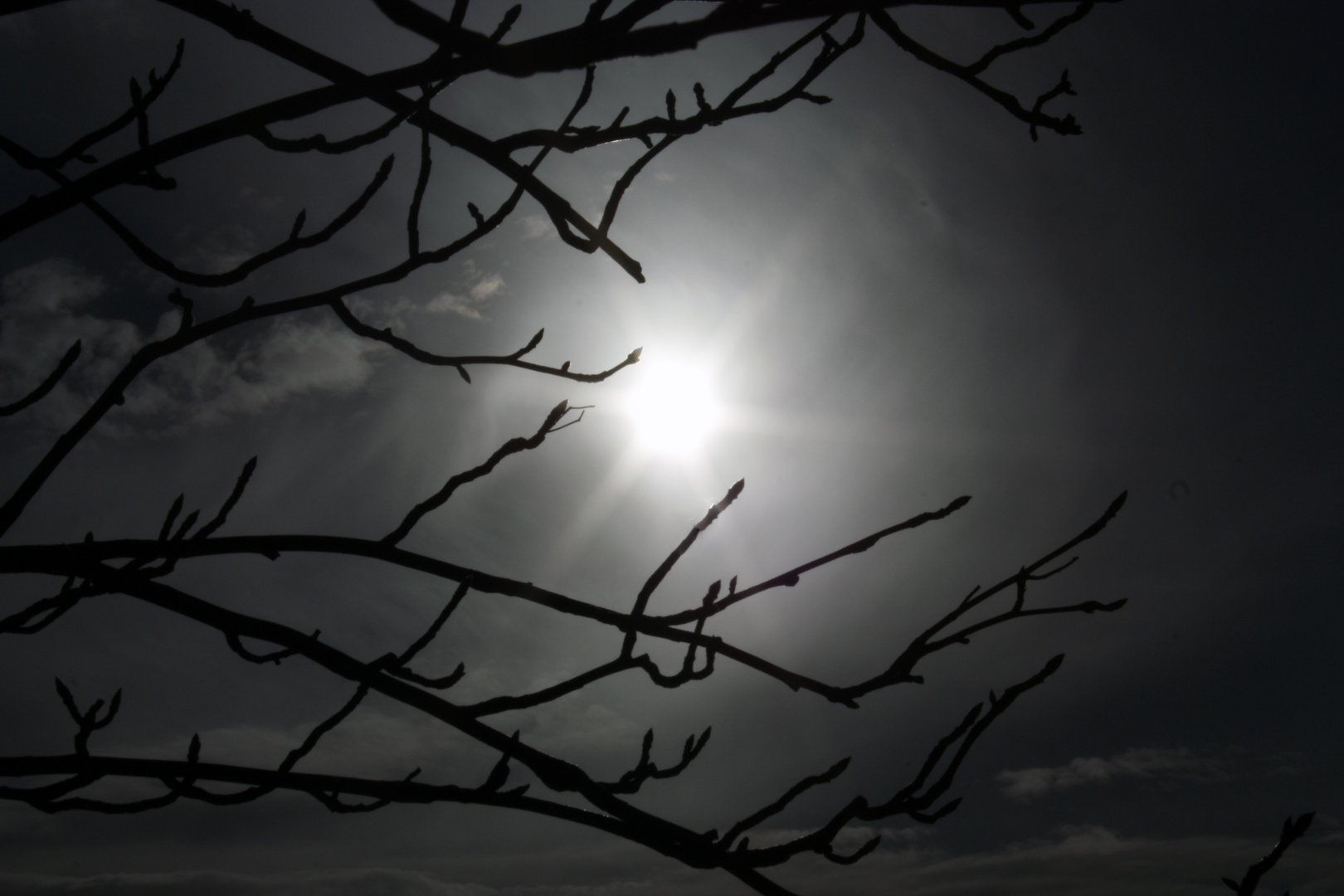 Hinter Schleierwolken auf dem Reussenstein