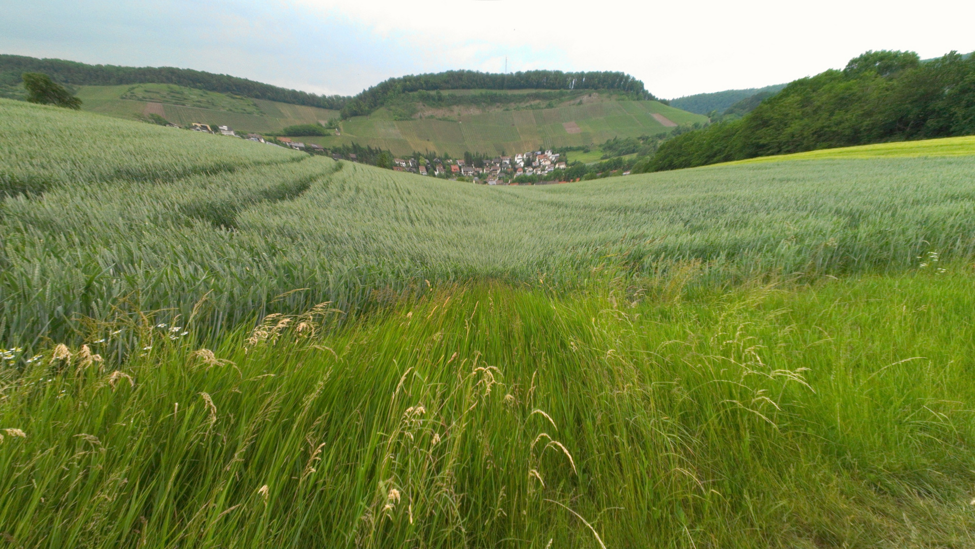 hinter Schützingen