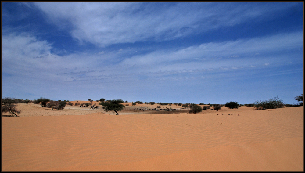 Hinter Timbuktu