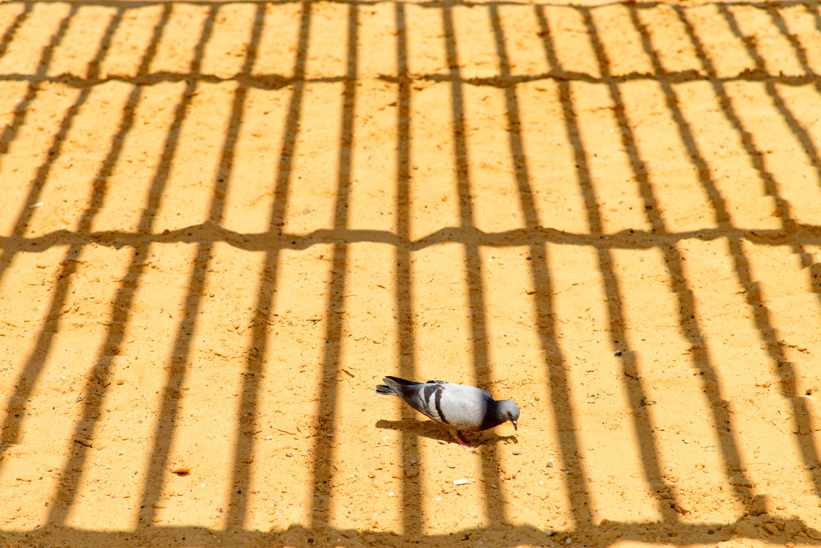 Hinter unsichtbaren Gittern