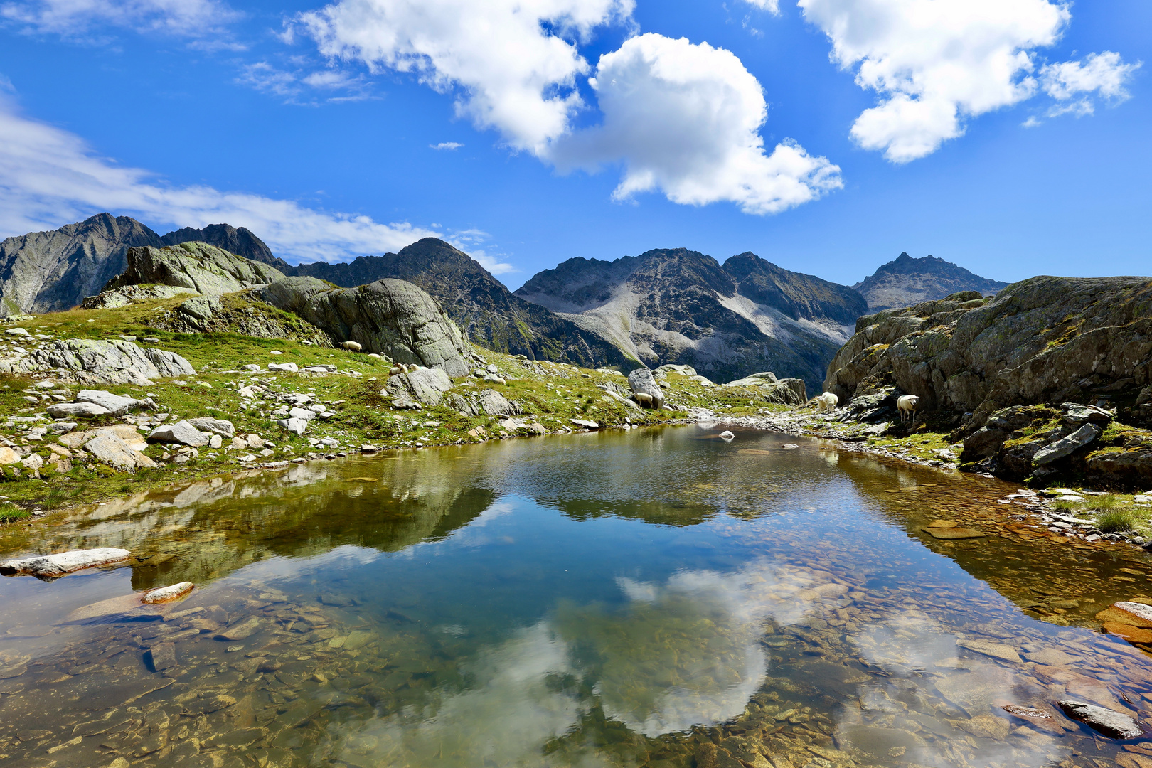 Hinterbalm, Brunialp