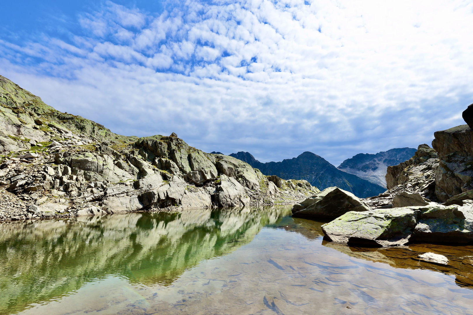 Hinterbalm, Brunialp