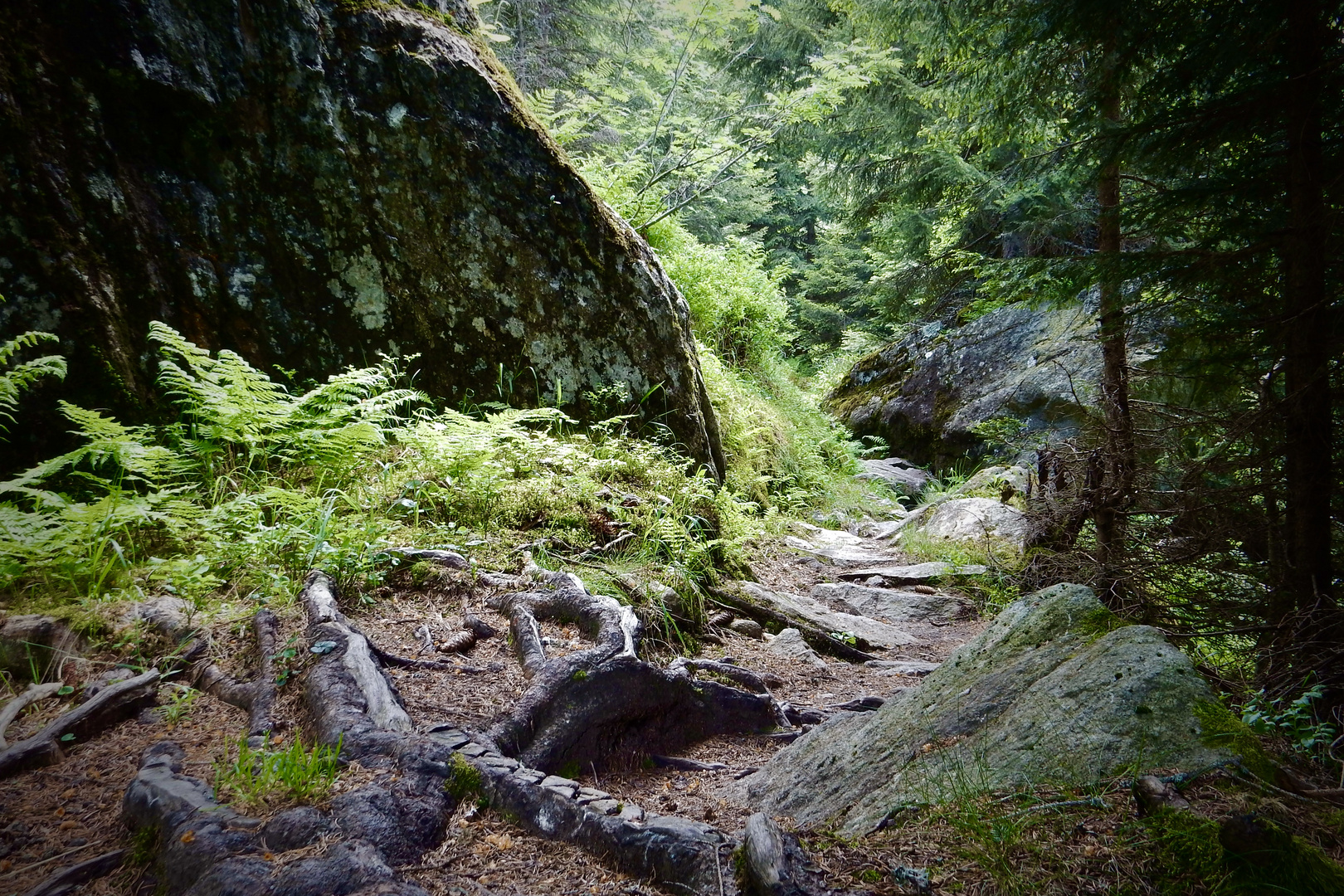 Hinterbalmhüttenweg , Maderanertal