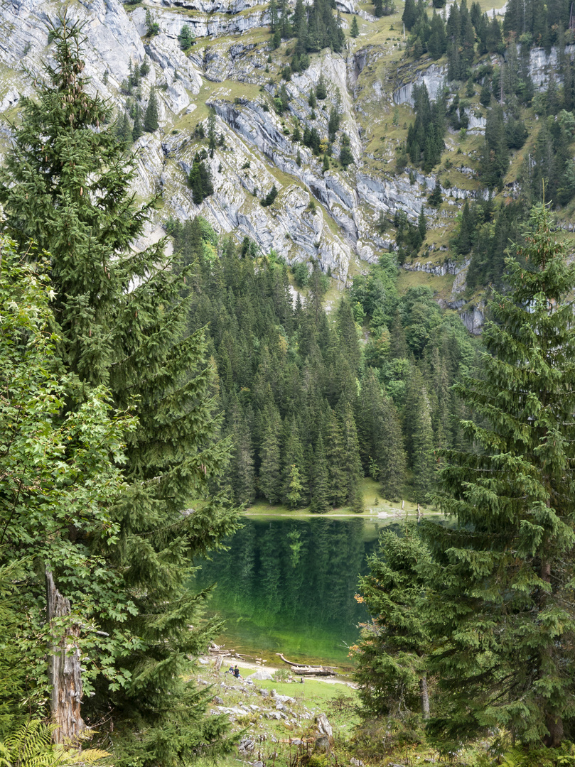 Hinterburgseeli auf der Axalp