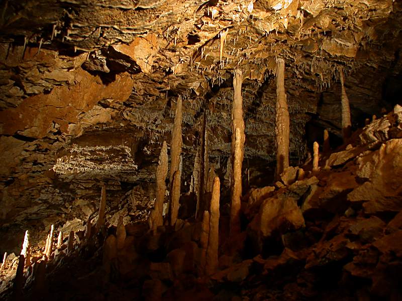 Hintere Kohlhaldenhöhle