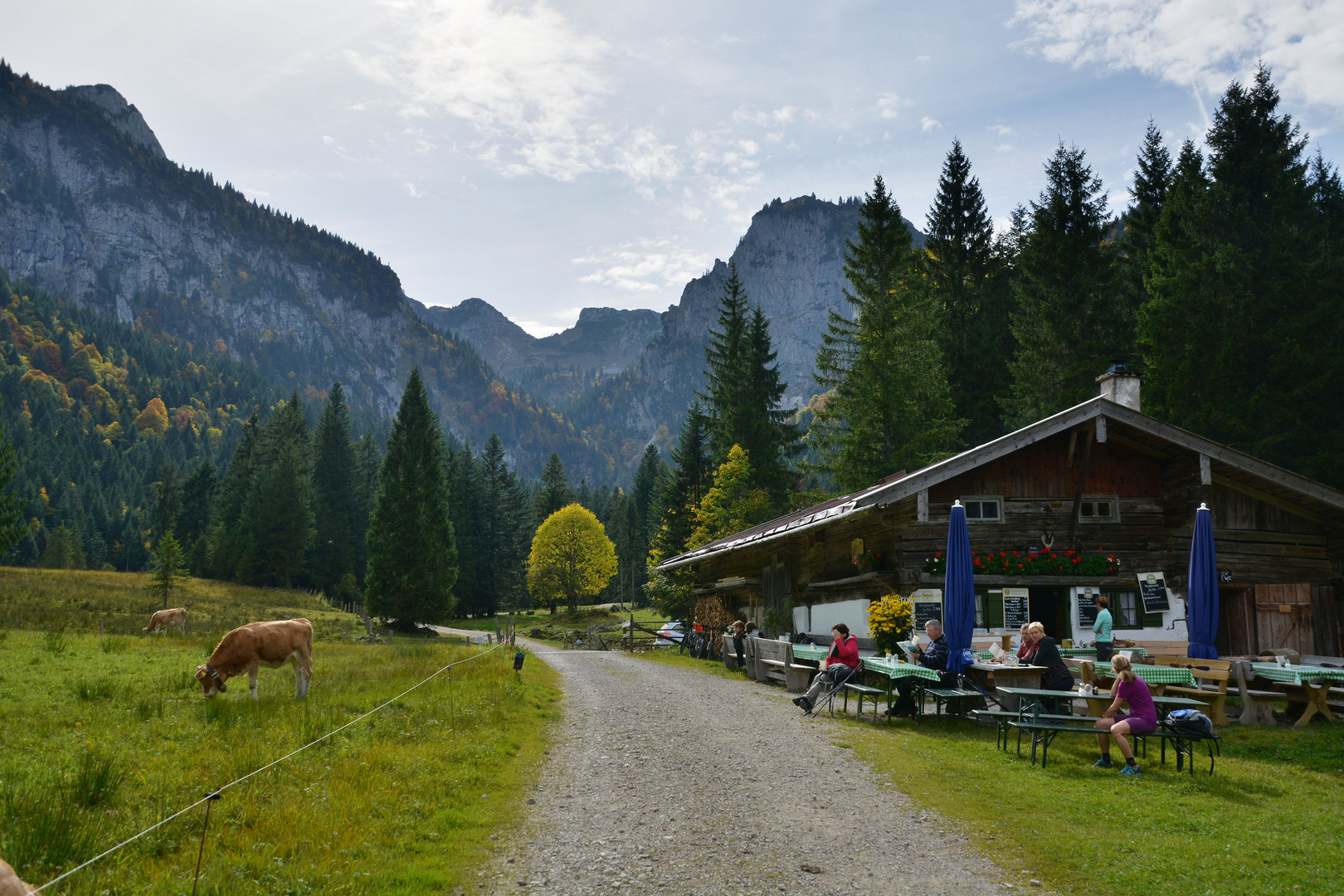 Hintere Längentalalm