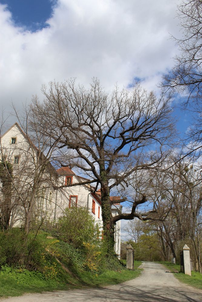 Hintereingang zum Schlossgarten