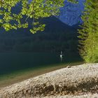 Hinterer Langbathsee  Morgenstimmung  Fischer