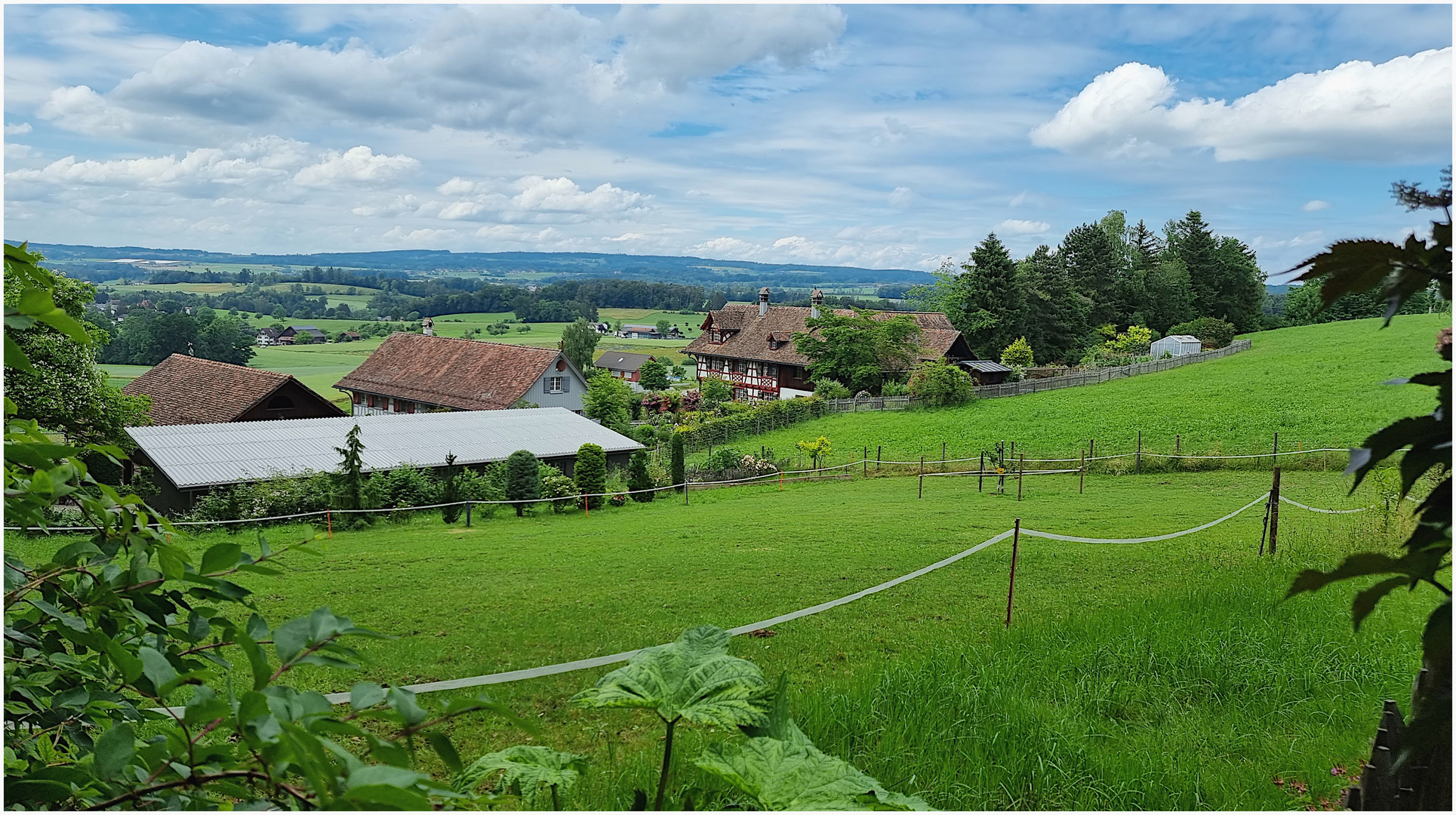 Hinterer Ruberbaum, Märstetten