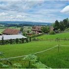 Hinterer Ruberbaum, Märstetten