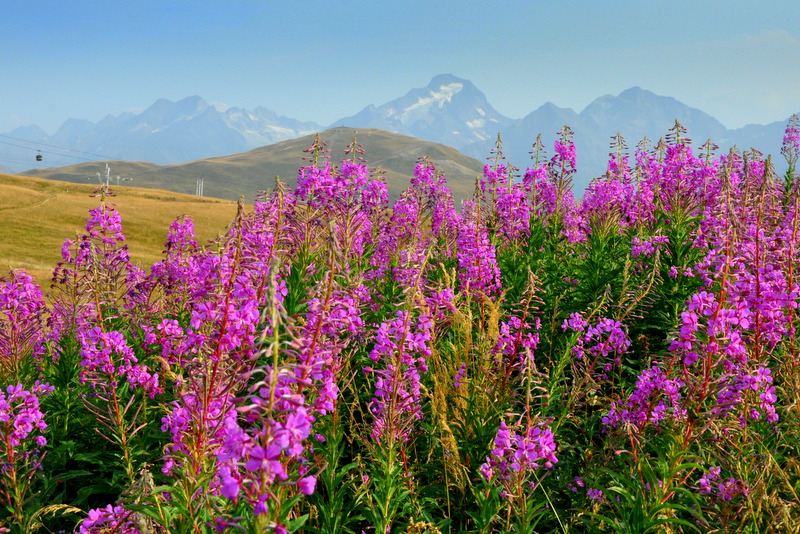 Hintergrund Alpen 3800m