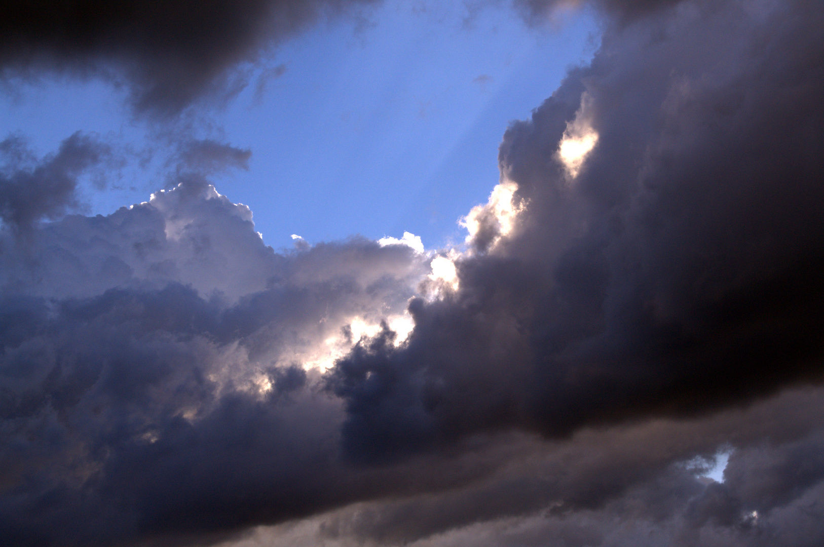 Bild Mit Hintergrundbeleuchtung: A Comprehensive Guide to Backlit Images