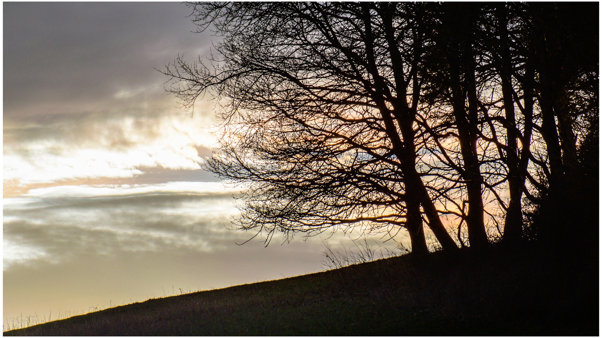 Bild Mit Hintergrundbeleuchtung: A Comprehensive Guide to Backlit Images