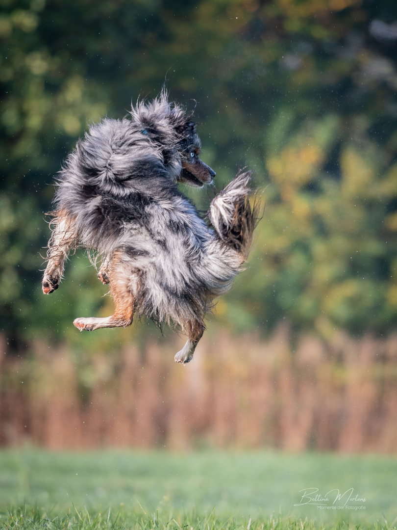 Hinterher fliegen