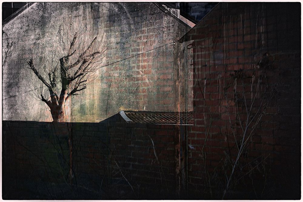 HINTERHOF . VII Foto & Bild | architektur, landschaft, lebensräume