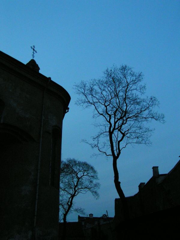 Hinterhof zur Abenddämmerung