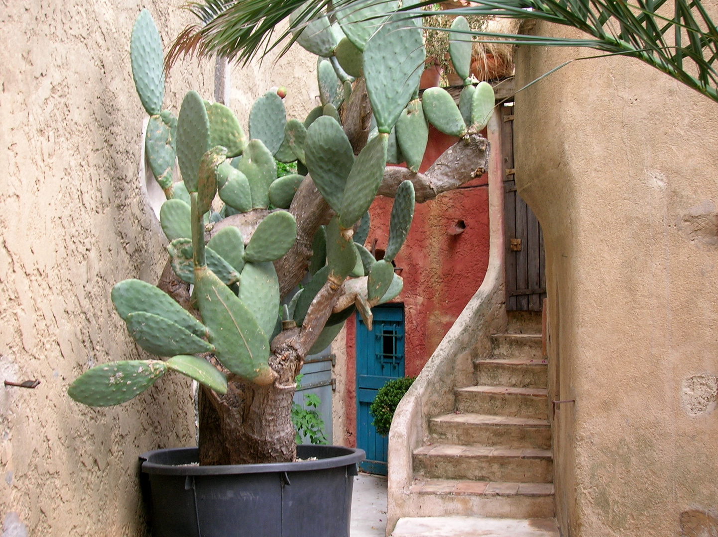 Hinterhoftüren Foto & Bild | monatswettbewerbe spezial, 05 - mai türen