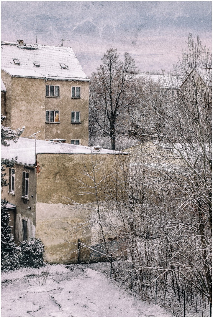 Hinterhofwinter