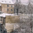 Hinterhofwinter