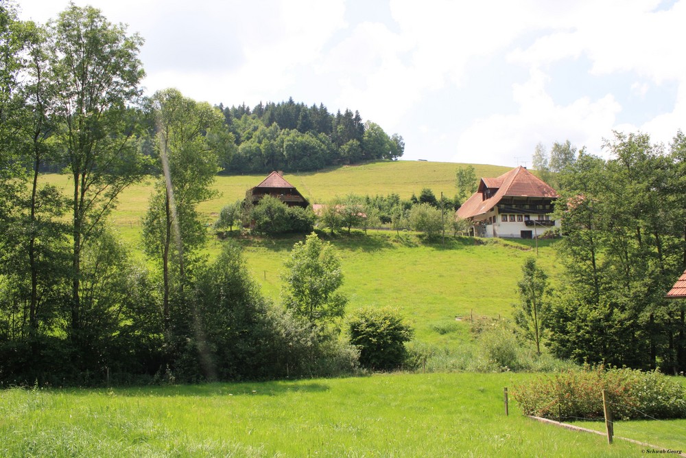 Hinterlaisenhof in Welschensteinach