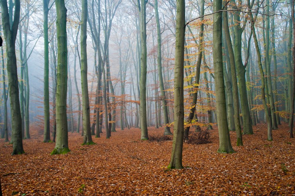 Hinterland Foto & Bild landschaft, jahreszeiten, herbst Bilder auf
