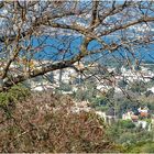 HINTERLAND BEI BODRUM