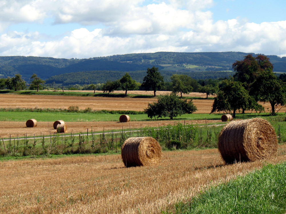 Hinterland von Uhldingen-Mühlhofen