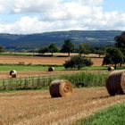 Hinterland von Uhldingen-Mühlhofen