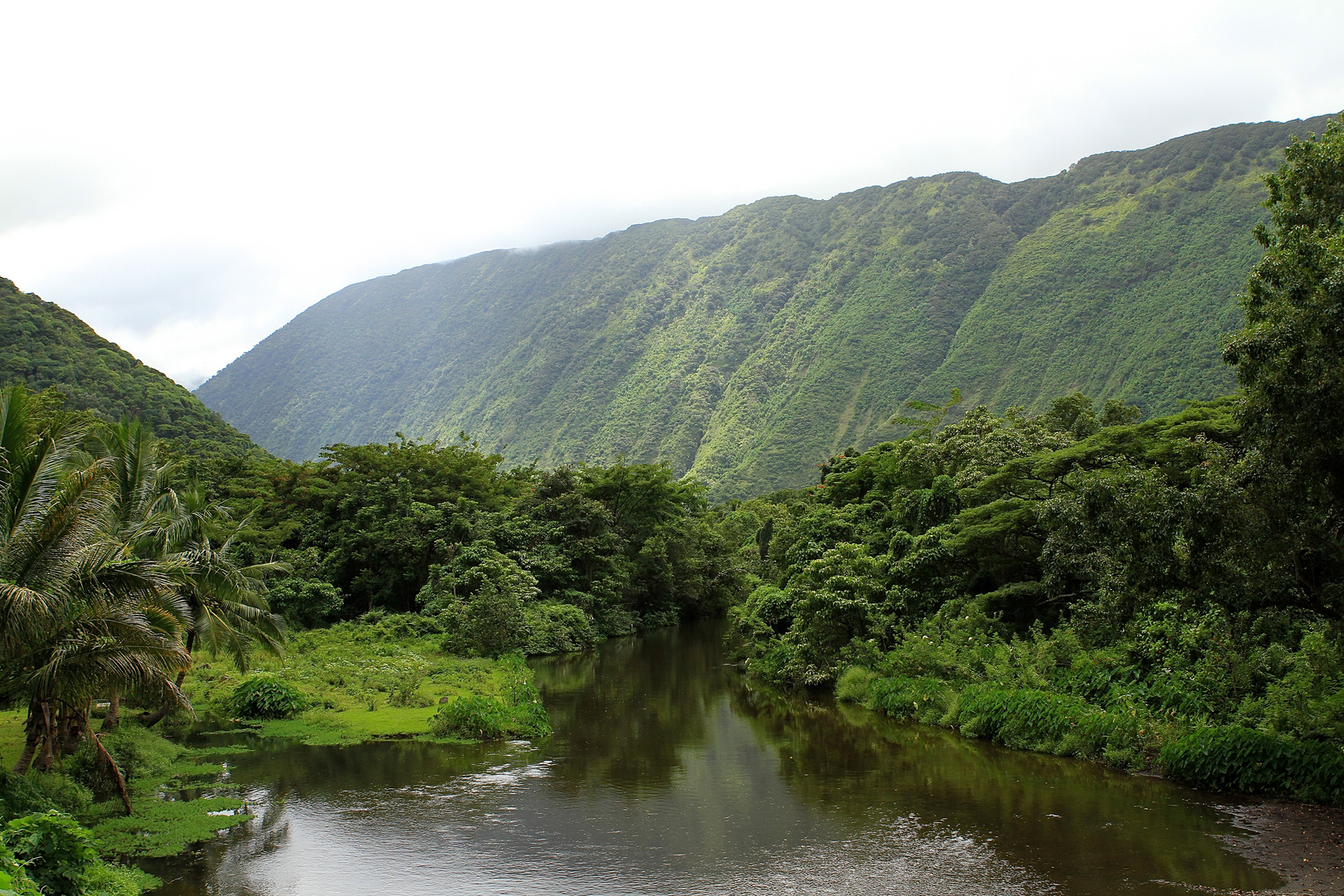 Hinterland - Waipio Valley